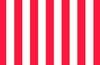 Red and White Stripe Print Photography Backdrop