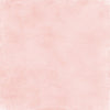 Ivory Matt Surface Texture Background - Backdropsource