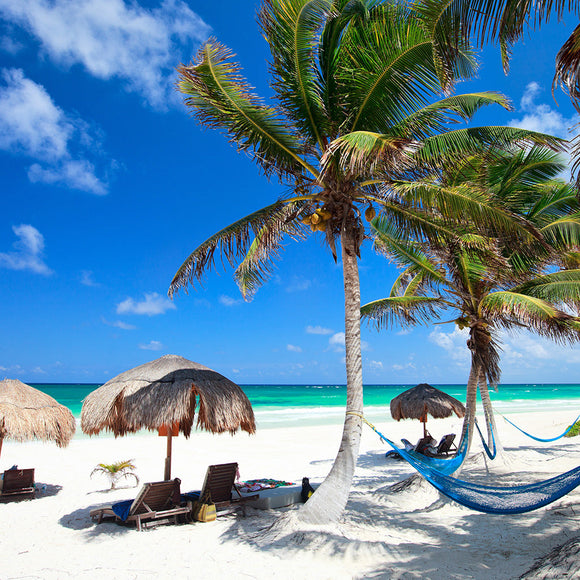 Beautiful Caribbean Beach - Backdropsource