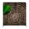 Brown stump green leaf Media wall - Backdropsource
