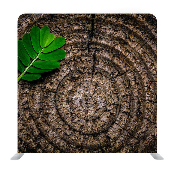 Brown stump green leaf Media wall - Backdropsource