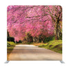 Full Pink Cherry Blossom On Spring In The Morning At North Of Thailand Background Media Wall - Backdropsource