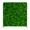 Green Wall Media wall - Backdropsource