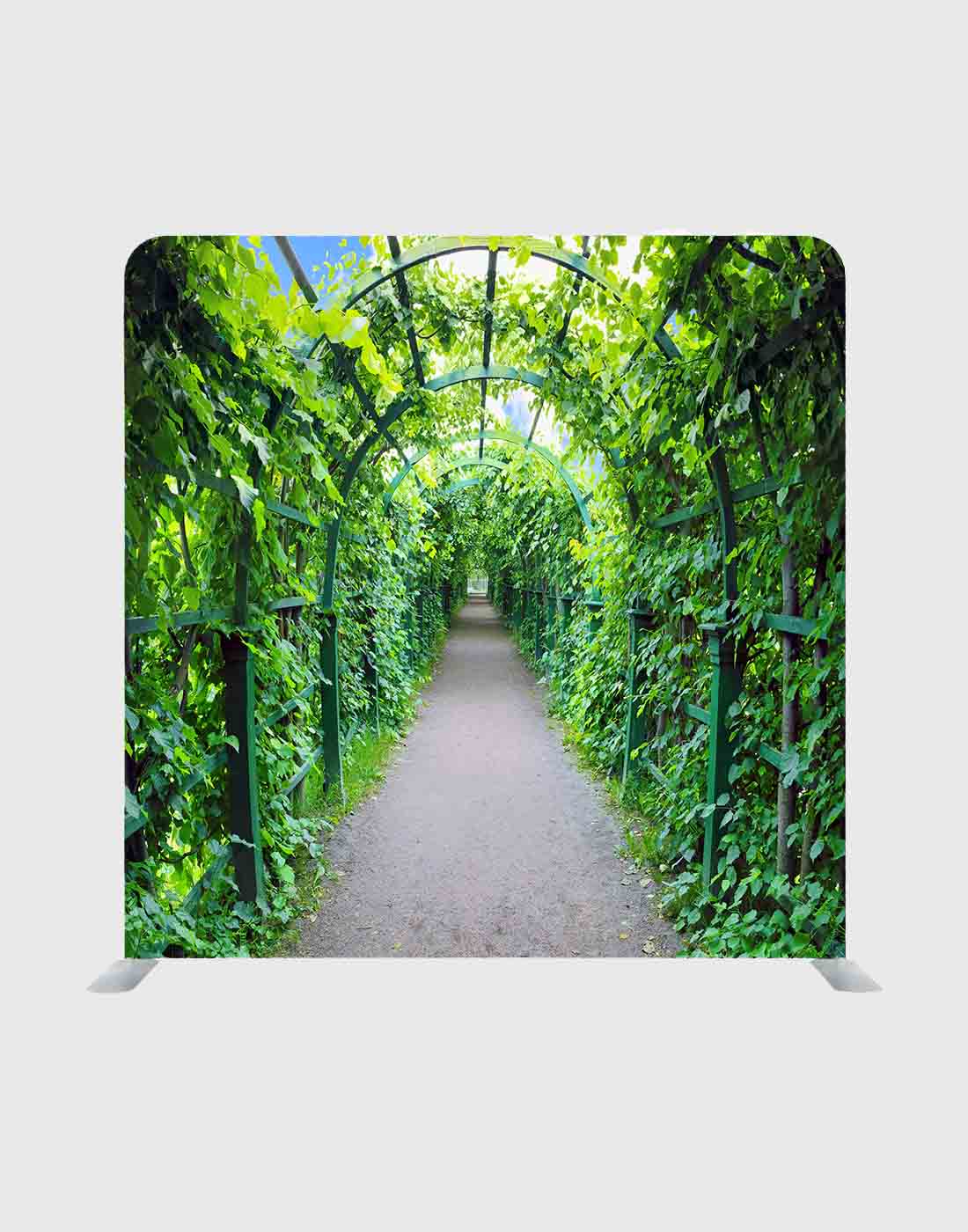 Arco verde en un jardín como fondo de pared multimedia