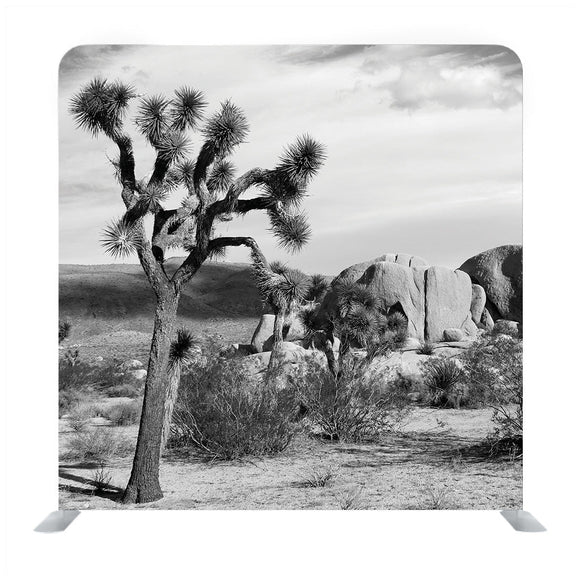 Harvesting Time Backdrop - Backdropsource