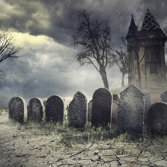 Haunted House Halloween Scary Party Design Background - Backdropsource
