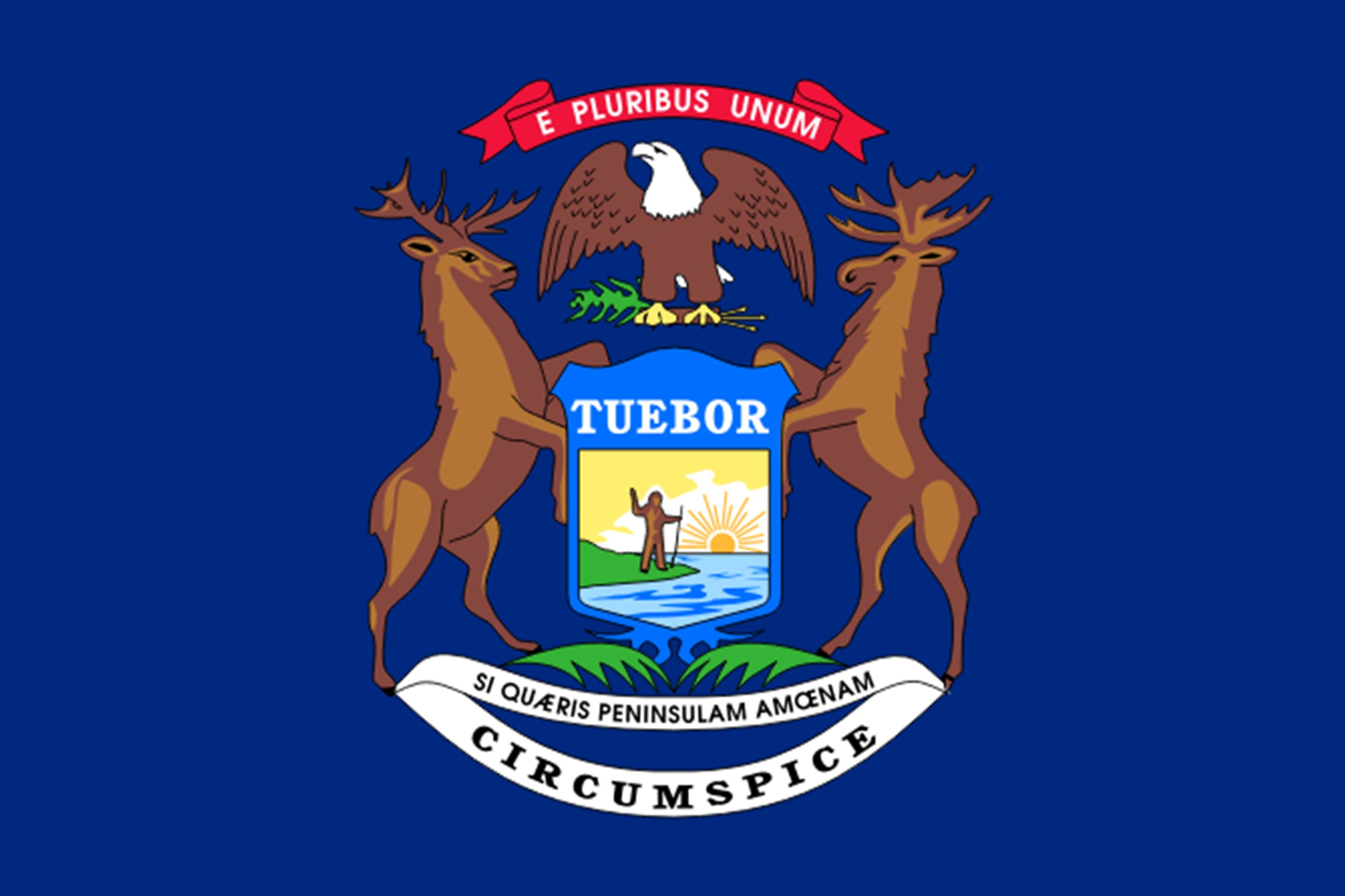 Michigan State Flag - Backdropsource