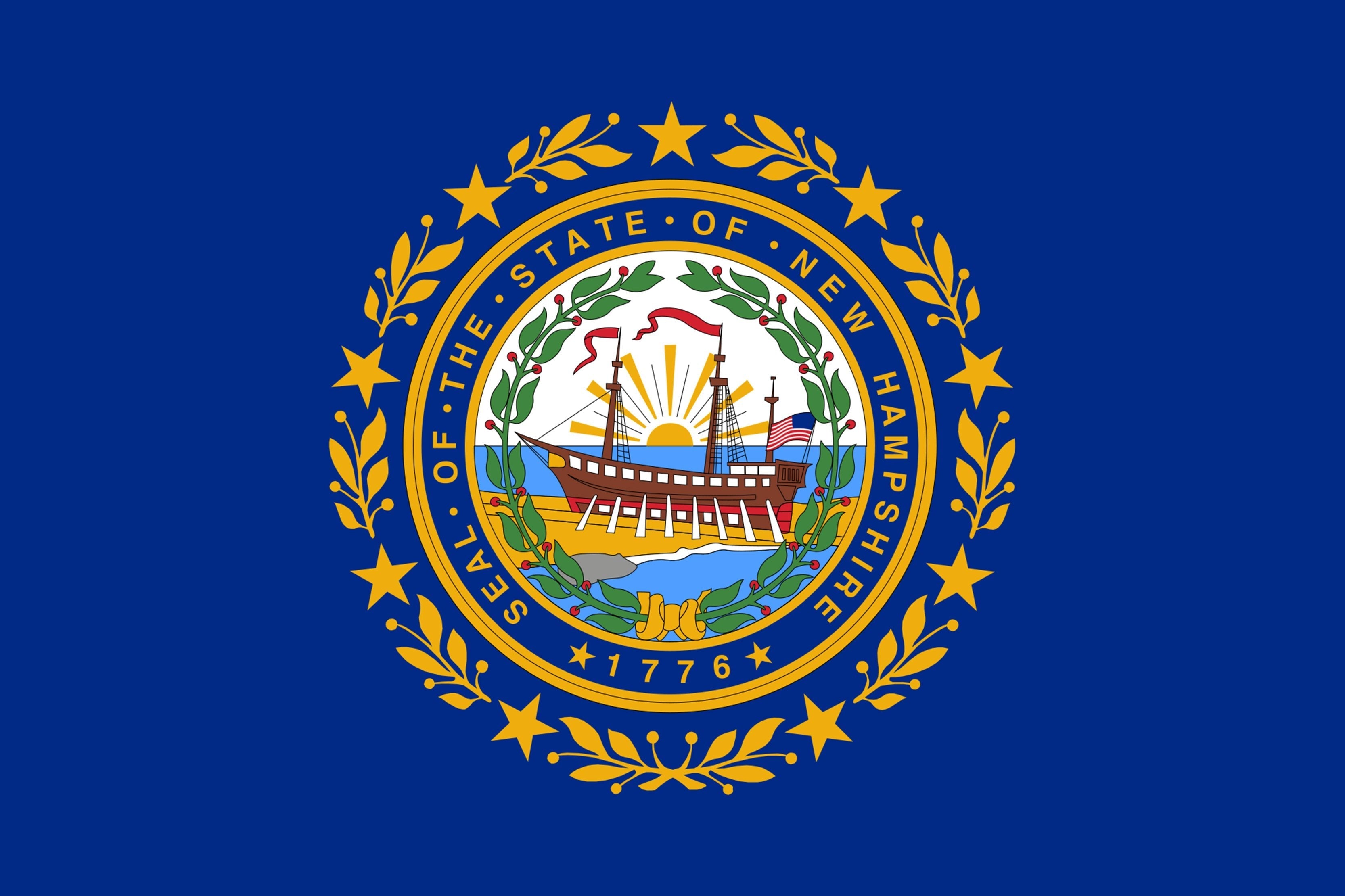 New Hampshire State Flag - Backdropsource