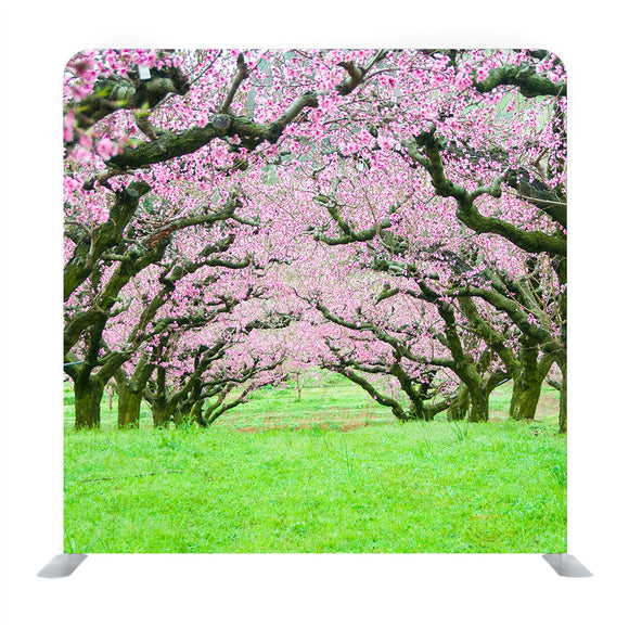 Pink Flowers Trees Tunnel Background Media Wall - Backdropsource