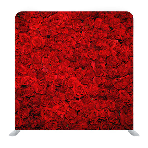 Red Roses Media wall - Backdropsource