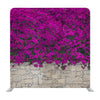 Violet Bougainville Flowers Blooming On Rock Wall Background Media Wall - Backdropsource
