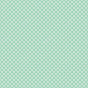 Mini Polka Dots on Mint Green Print Photography Backdrop