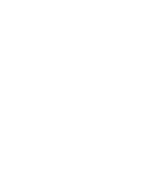 section image 5
